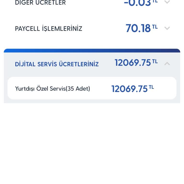 Yurt Dışı Ücret Şoku: Yanlış Fatura