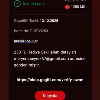 Hediye Çeki Dönüşüm Sürecinde Yaşanan Sorunlar