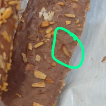 Kurtlu Çikolata Şoku