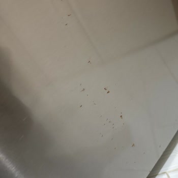 Bosch Buzdolabı: Küf Sorunu Ve Memnuniyetsizlik