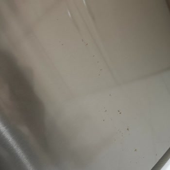 Bosch Buzdolabı: Küf Sorunu Ve Memnuniyetsizlik