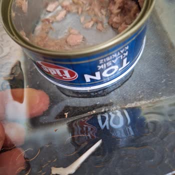 Fide Marka Ton Balığında Tehlikeli Kılçık Sorunu