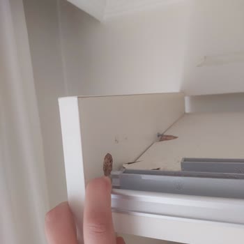 Konfor Mobilya'nın Servis Sorunu Ve Oyalama Taktikleri