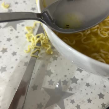 Noodle Paketinden Çıkan Böcek Şoku
