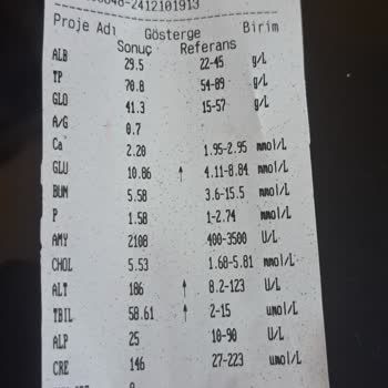 Veteriner Hatası: Anestezi Testi Yapılmadan Kısırlaştırma