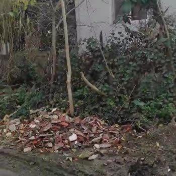 Hatay Büyükşehir Belediyesi Kronik Kanalizasyon Sorunu Ve Mahalle Halkının Mağduriyeti!