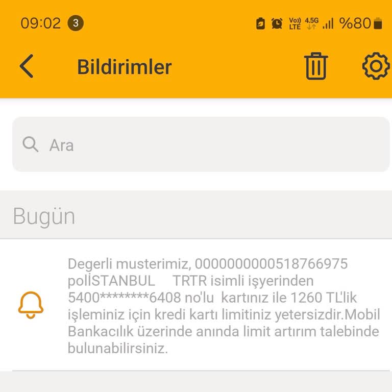 VakıfBank Polistanbul Harcama Yapılmak İstenmiş