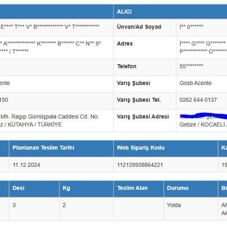 Kargo Teslimatı Ve Hasar Sorunu