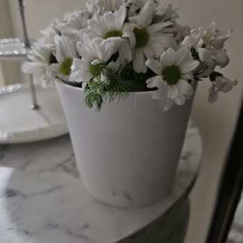 Çiçek Sepeti Yanlış Çiçek Teslimatı Ve İletişim Sorunu