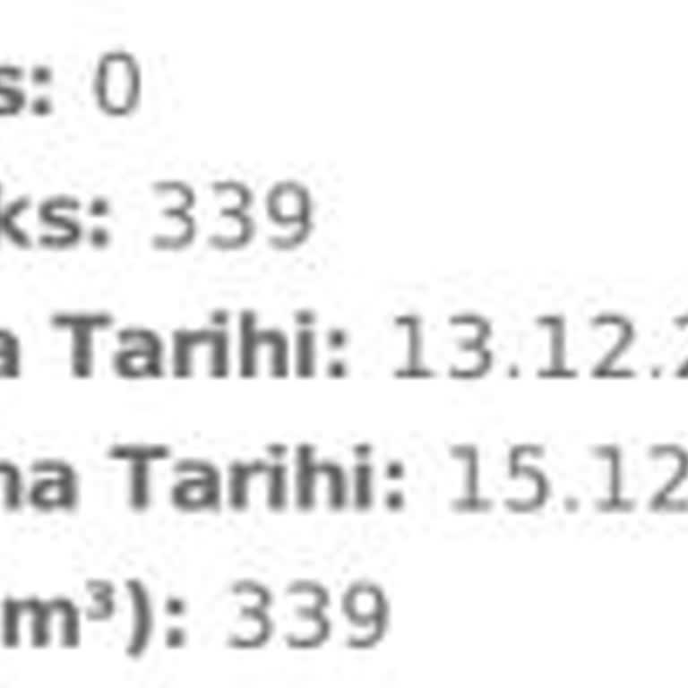 İki Günlük Doğalgaz Kullanımına Aşırı Fatura Şoku