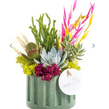 Yanıltıcı Çiçek Gönderimi: Solmuş Ve Özensiz Paketleme