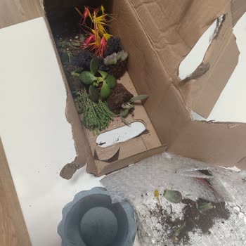 Yanıltıcı Çiçek Gönderimi: Solmuş Ve Özensiz Paketleme