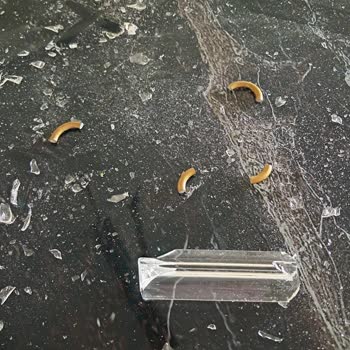 Koçtaş Ve Apliqa'nın Müşteri Memnuniyetsizliği