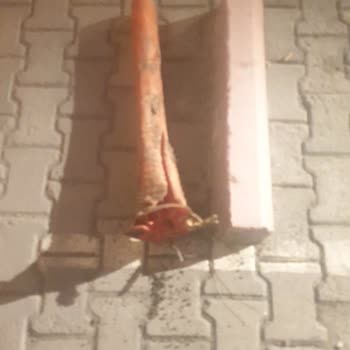 İzinsiz Kum Yığını Ve Zarar Gören Park Dubaları