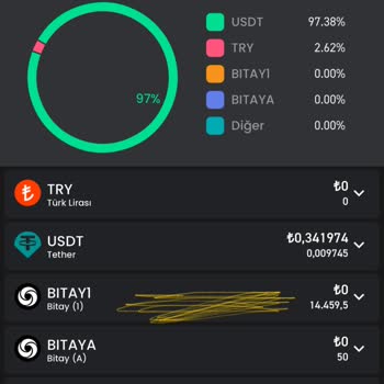 Bitay Hesabımda Kilitli Kalan Coinler