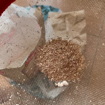 A101'den Aldığım Unun İçinden Canlı Böcekler Çıktı!