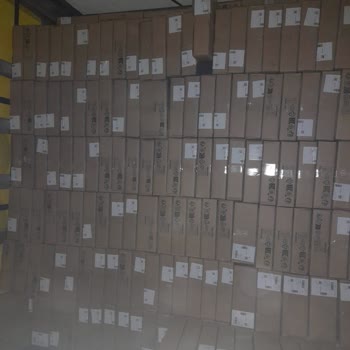 Tecno Spark 20 Pro Kamerasında Odaklanma Sorunu