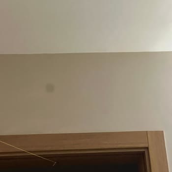 İphone 13 Pro Max Kamera Zoom Sorunu: Siyah Leke Problemi