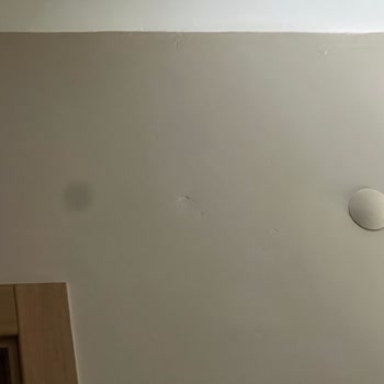 İphone 13 Pro Max Kamera Zoom Sorunu: Siyah Leke Problemi