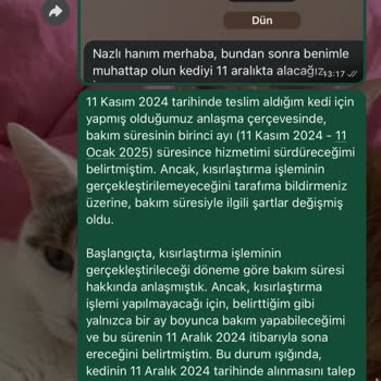 Gerçek Dışı İddialarla Karşı Karşıya: İtibarımı Koruma Mücadelesi
