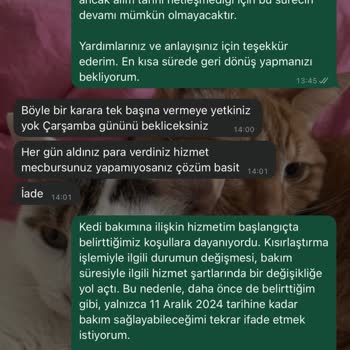 Gerçek Dışı İddialarla Karşı Karşıya: İtibarımı Koruma Mücadelesi