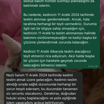 Gerçek Dışı İddialarla Karşı Karşıya: İtibarımı Koruma Mücadelesi