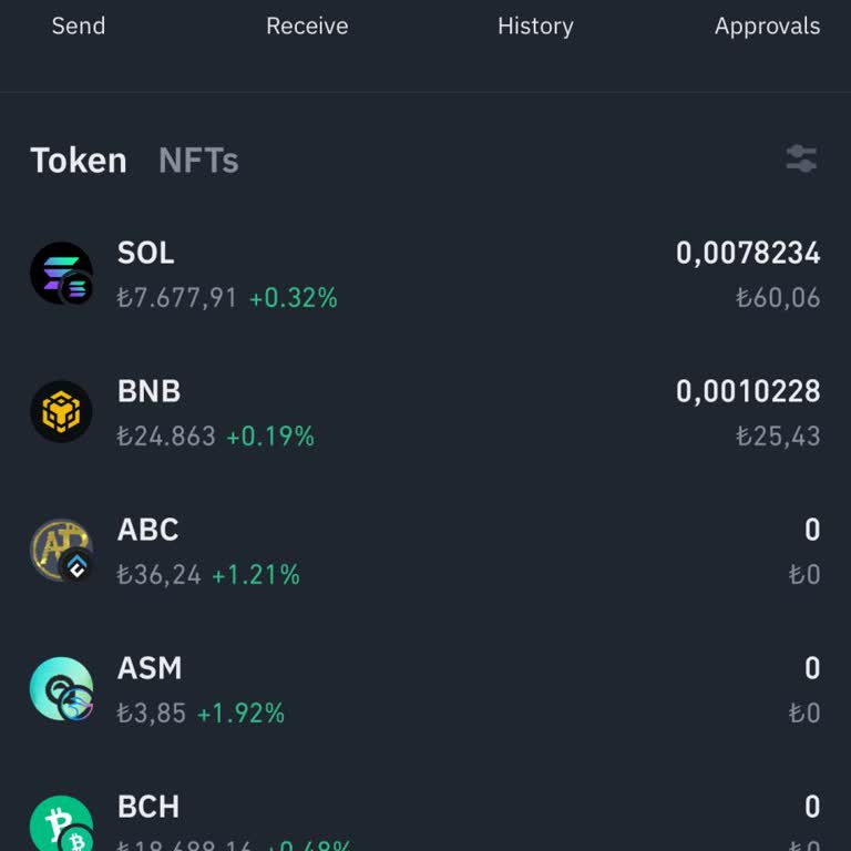 Binance Cüzdanında Kayıp Coin Sorunu