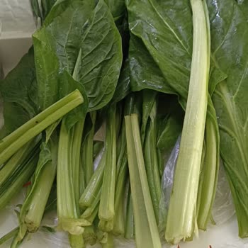 Akyurt Market'te Boş Sap Şikayeti