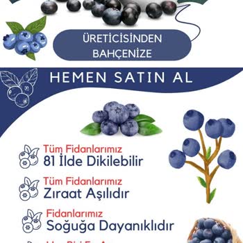 Alz Garden Yanıltıcı Ürün Ve İletişimsizlik