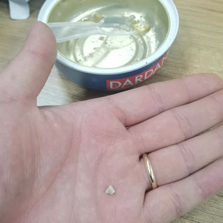 Dardanel Ton Balığında Taş Şoku: Dişlerimiz Tehlikede