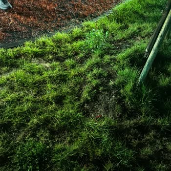 YDO Profesyonel Yönetim Hizmetleri Sorumsuz ve İlgisiz