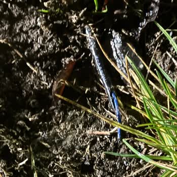 YDO Profesyonel Yönetim Hizmetleri Sorumsuz ve İlgisiz