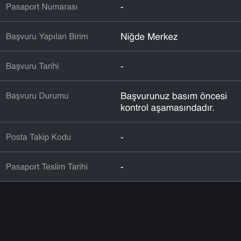Acil Pasaport Başvurusu: Yurt Dışı Planları Tehlikede