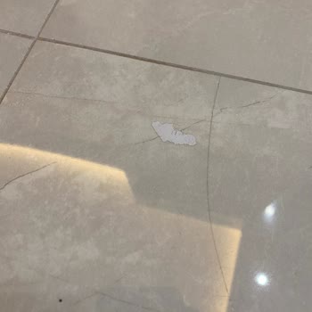 Detaylı Temizlikte Eksikler Ve Memnuniyetsizlik