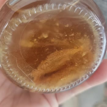 Kullanım Süresi Dolmadan Küflenen Kemik Suyu Ve İletişim Sorunu