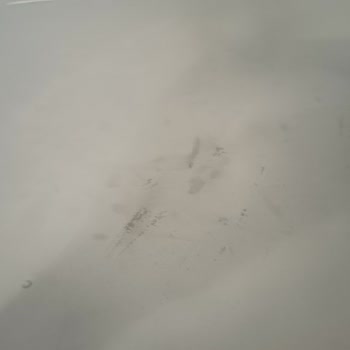 innova Fırın Boya Sorunu