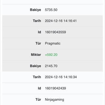 İzinsiz Hesap Girişi Ve Sorumluluk Kabul Etmeyen Müşteri Hizmetleri
