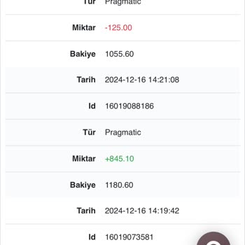 İzinsiz Hesap Girişi Ve Sorumluluk Kabul Etmeyen Müşteri Hizmetleri