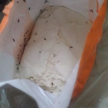 Migros Marketten Alınan Üründe Böcek Problemi