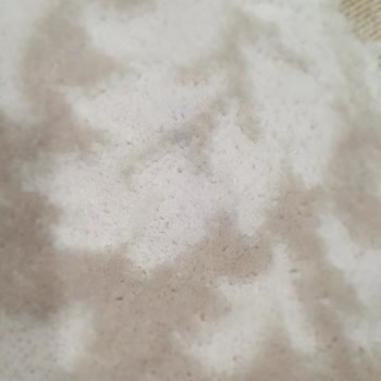 Halı Yıkama Hizmetinde Hayal Kırıklığı