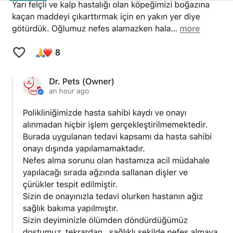 Veterinerde Yaşanan Hayal Kırıklığı