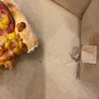 Ekelhafte Entdeckung in Domino's Pizza-Bestellung über Trendyol