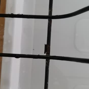 Paslanmaz Denilen Bulaşıklık Paslandı!