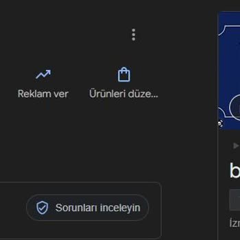 Google İşletme Profilimi Yönetmeme İzin Vermiyor
