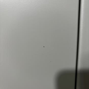 Evkur Teknik Servisinden Gelmeyen Yardım Ve Mağduriyet