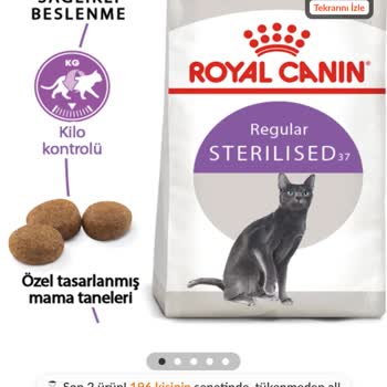 Kedimde Sahte Mama Şüphesiyle Sağlık Sorunları