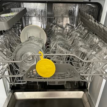 Bosch Bulaşık Makinesi: Hayal Kırıklığı Ve Yetersiz Çözümler