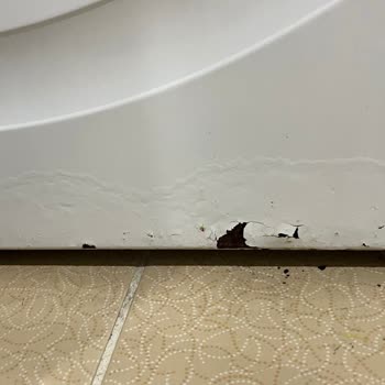 Bosch Ürünlerinde Beklenmedik Kalite Sorunları