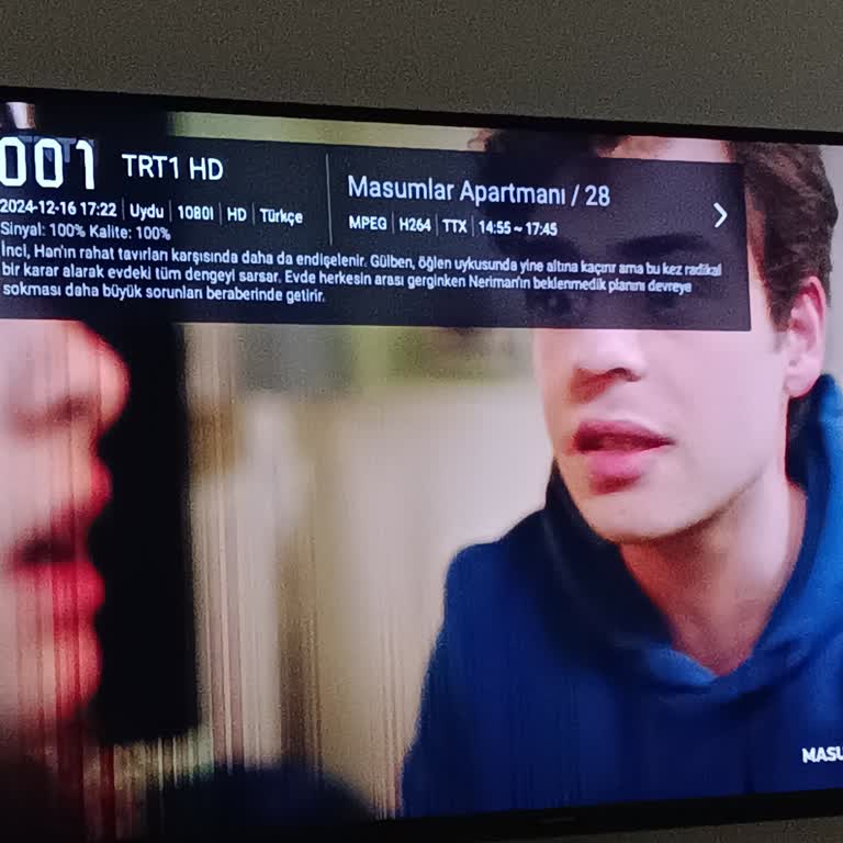 Skytech TV'de Sürekli Sorunlar Ve Uzun Servis Süreleri