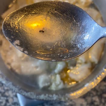 Dondurulmuş Mantıda Şok Edici Sinek Skandalı